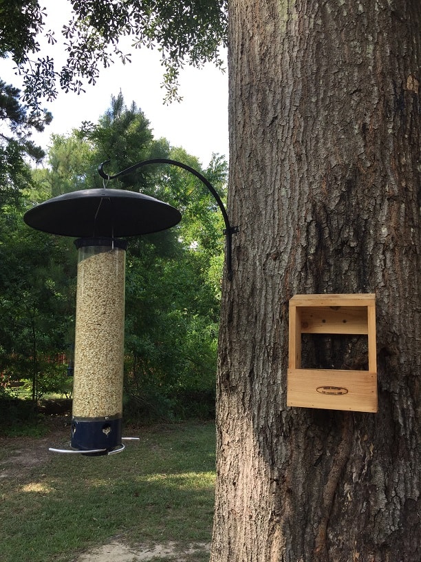 Ultimate Squirrel Proof Feeding Station