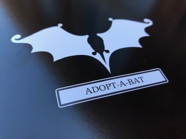 Adopt A Bat
