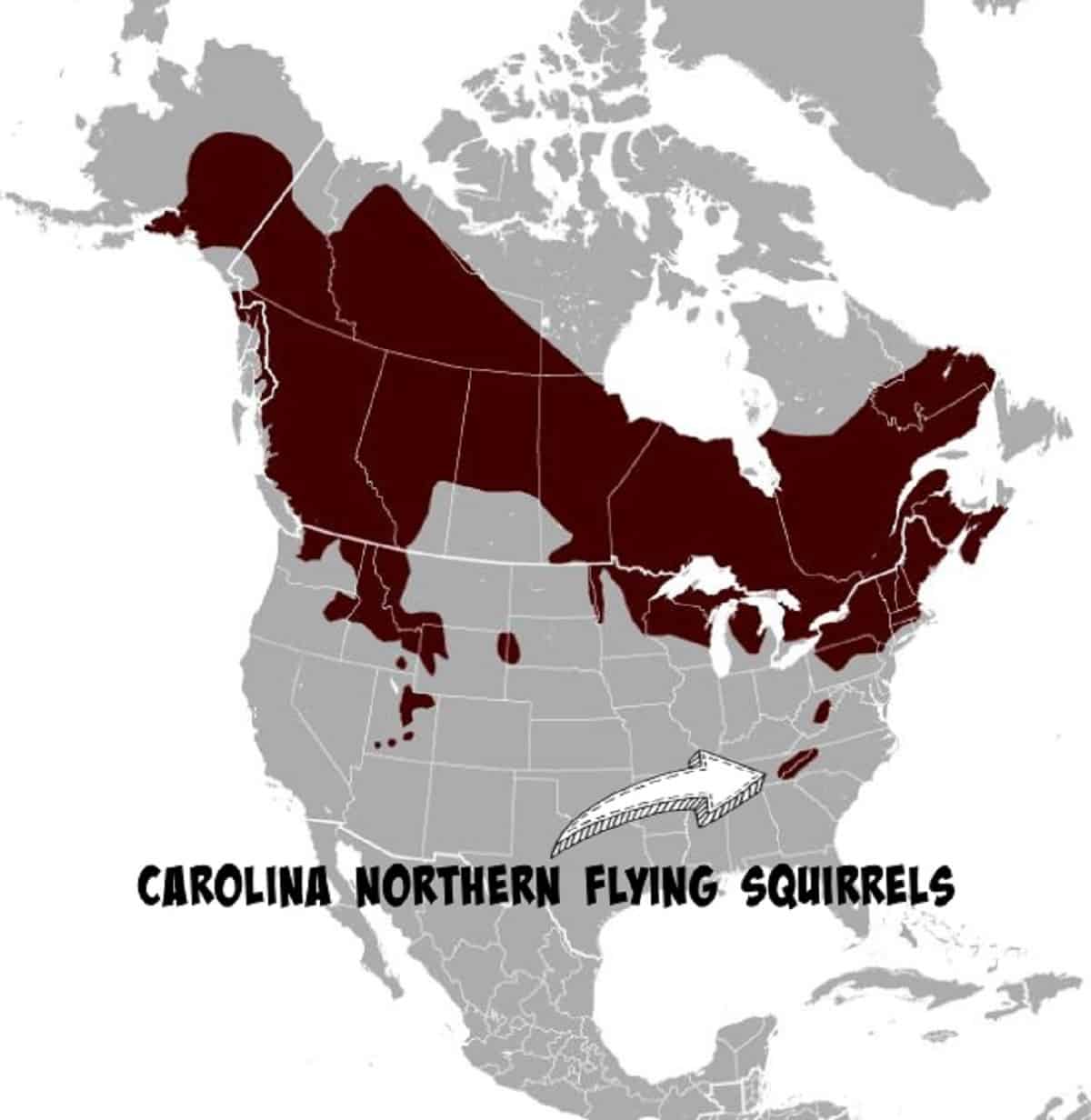Range of the Endangered Carolina Northern Flying Squirrel