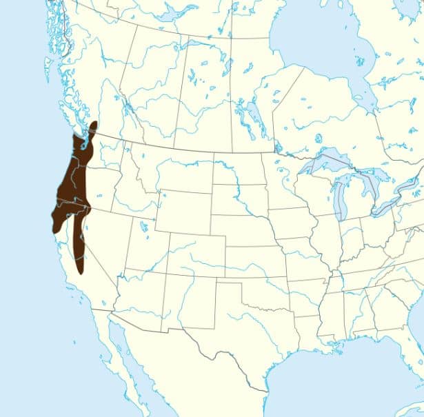 Range of the Humboldt's Flying Squirrel