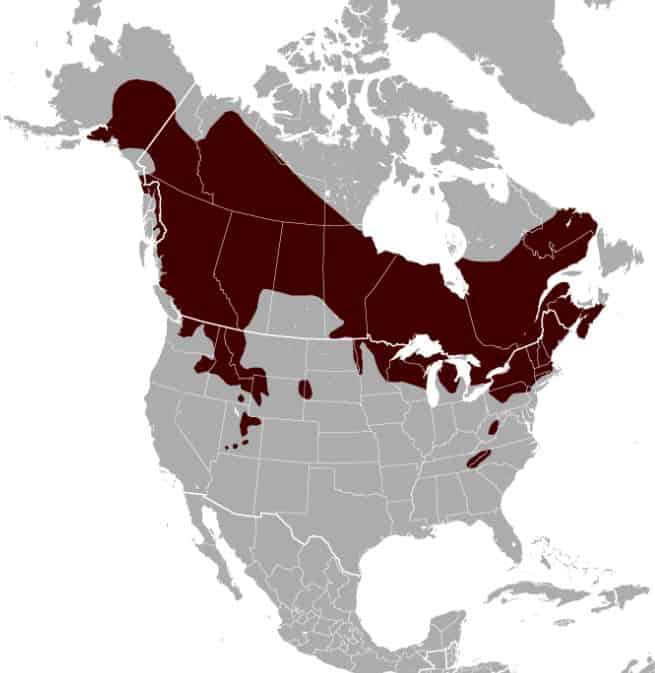 Range of the Northern Flying Squirrel