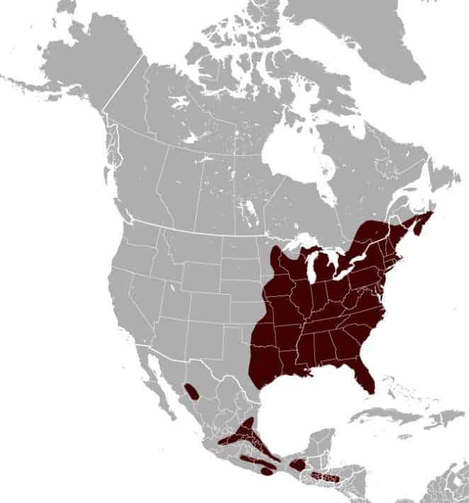 Range of the Southern Flying Squirrel